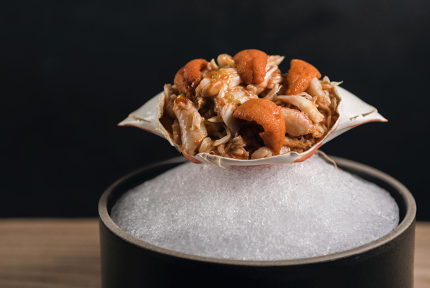 Ronin-ASIA-2018-DISH 1
